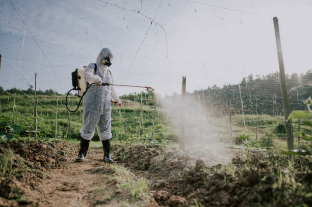 Best Ant Control Services  in Nth Plains, OR