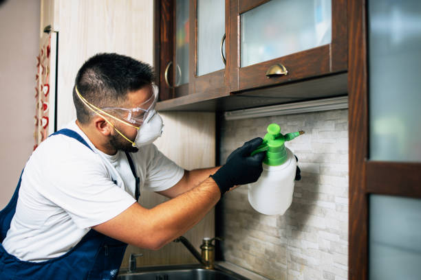 Best Pest Control Treatment  in Nth Plains, OR