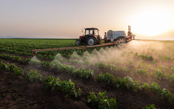 Best Pest Inspection Near Me  in Nth Plains, OR