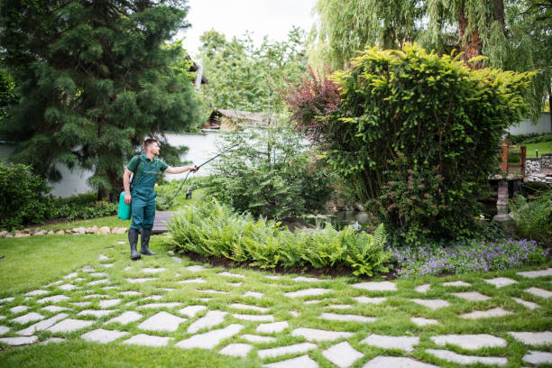 Professional Pest Control in North Plains, OR