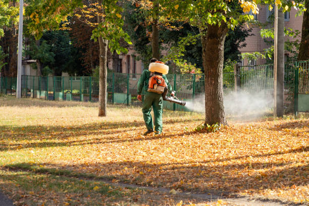 Best Termite Control Services  in Nth Plains, OR